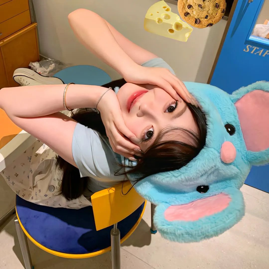 爱出猫