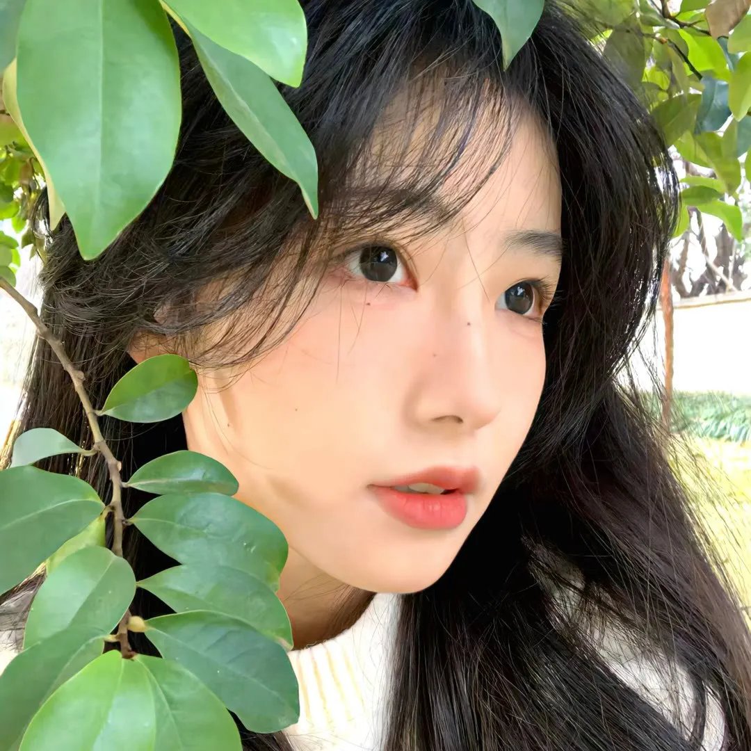 白色的声音